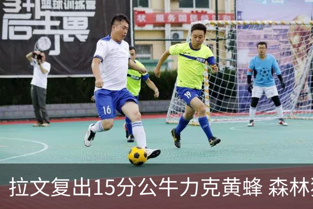 拉文复出15分公牛力克黄蜂 森林狼大胜火箭